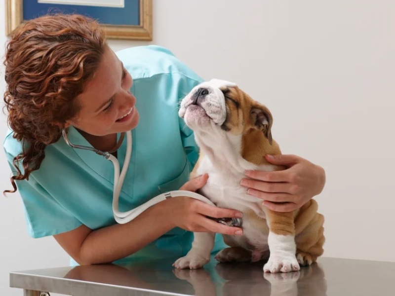  Kate se alejó hacia Buenos Aires, donde comenzó a estudiar veterinaria