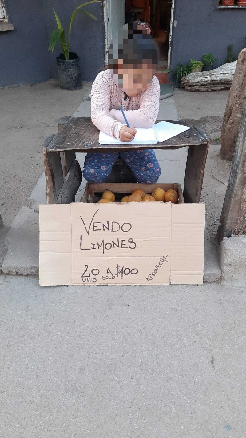 La imagen que recorrió las redes sociales. Victoria y su cajón repleto de limones.