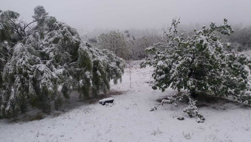 Sorpresa en el Día de la Primavera: cayó nieve en las sierras de Córdoba