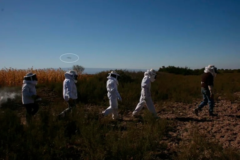  Los avistamientos de insectos o aves que fueron denunciados como ovnis por los argentinos en el año pasado significó la confusión más común. Todos los casos presentados fueron resueltos