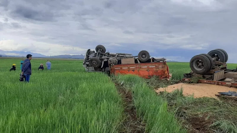 Volcó con su camión en la ruta 33 y falleció en el acto