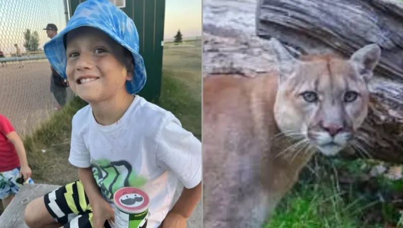 Tiene ocho años, se fue de campamento con amigos y un puma le mordió la cabeza