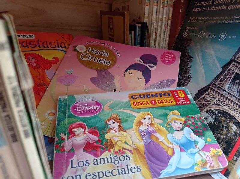 Nuevos libros y revistas en la casita de lectura de Plaza Lainez