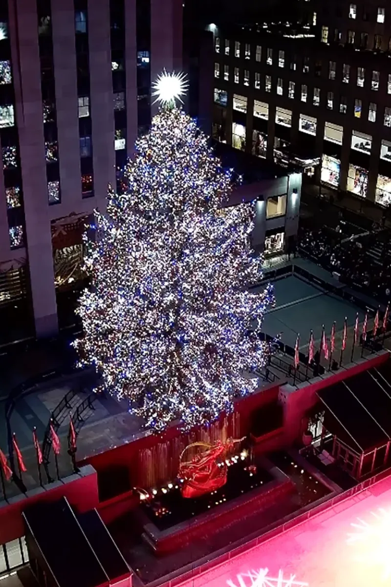  Este año mide casi 9 metros de altura, tiene 50.000 luces y una estrella Swarovski tridimensional, diseñada por el arquitecto Daniel Libeskind y cubierta con tres millones de cristales