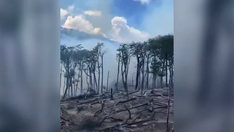  El fuego arrasa con la Reserva Provincial Corazón de la Isla.