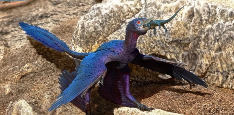 Representación de un Microraptor, un pequeño dinosaurio emplumado, que vivió hace unos 120 millones de años y tenía el tamaño de un cuervo.