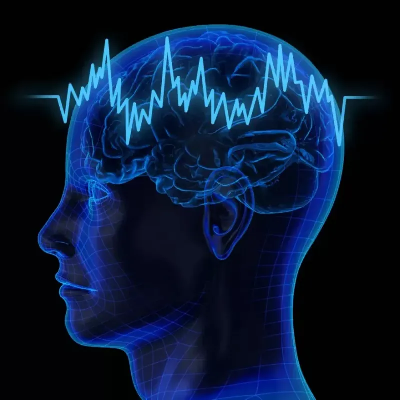 Existen cinco tipos de ondas cerebrales y se miden mediante un electroencefalograma. Las ondas gamma se relacionan con tareas de alto procesamiento cognitivo.