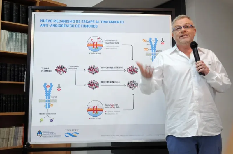  La imagen es de 2014, cuando Rabinovich y su equipo descubrieron el rol de la proteína Gal-1 en el crecimiento tumoral.
