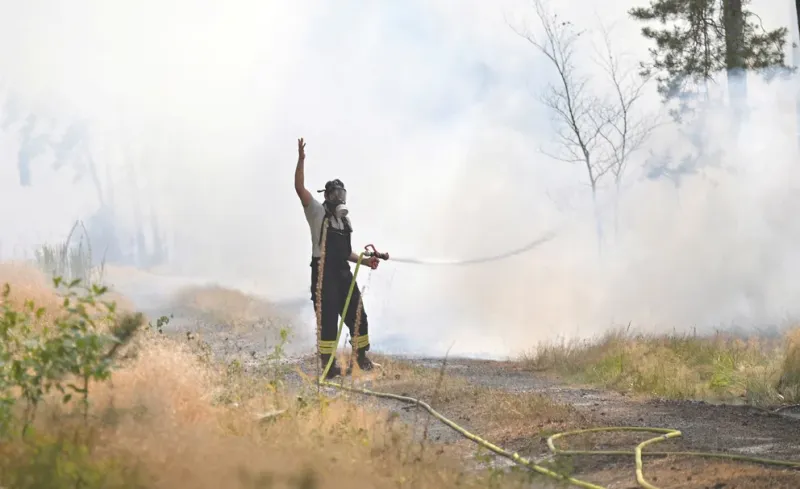 Los ecosistemas naturales saludables contribuyen a paliar las crisis ambientales que sufre el planeta, como el cambio climático global y los incendios fuera de control