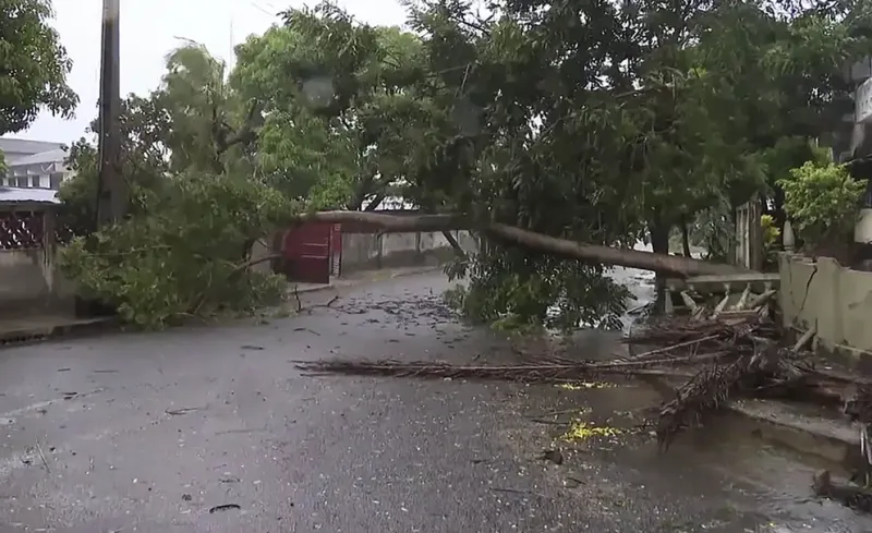 Un árbol cruza una calle en Quelimane, Mozambique, el domingo 12 de marzo de 2023. El ciclón Freddy, que batió récords, tocó tierra por segunda vez en Mozambique el sábado por la noche, golpeando la nación del sur de África con fuertes lluvias e interrump