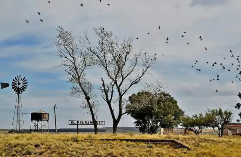 Típico paisaje campestre en la zona rural de Coronel Pringles.