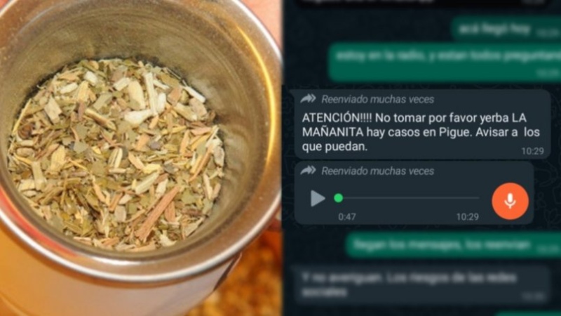 Desmienten una cadena de Whatsapp sobre yerba envenenada