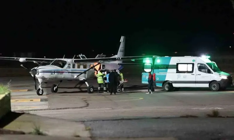 Trasladaron en un avión sanitario al nene atacado por tres Rottweiler