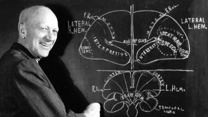  El neurocirujano Wilder Penfield trazó un mapa de estas zonas motoras del cerebro en la década de 1930. El nuevo estudio identificó algunos errores