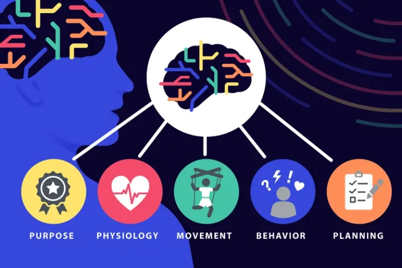 El vínculo entre cuerpo y mente está incrustado en la estructura del cerebro humano y se expresa en nuestra fisiología, movimientos, comportamiento y pensamiento, como se muestra en esta interpretación artística. Los investigadores descubrieron la Red de 