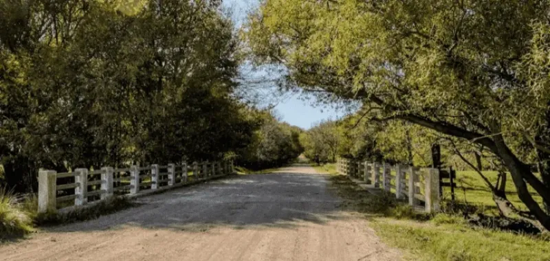 Disfruta de la naturaleza en Curamalal. 