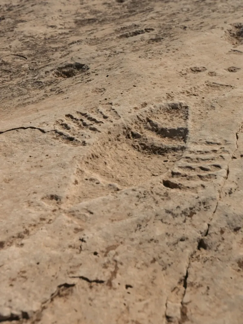 Otro de los patroglifos que más llamativos en la zona del desierto son los barcos. Para algunos vistos conforma de pez, por sus popas puntiagudas y remos a los costado. 