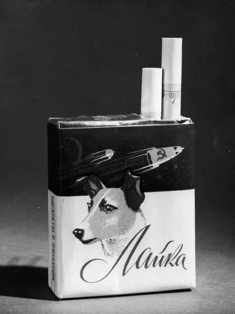  Cigarrillos soviéticos Laika. La perra, inútilmente sacrificada, era parte del orgullo de la URSS, que había anticipado a los Estados Unidos en enviar un ser viviente al espacio