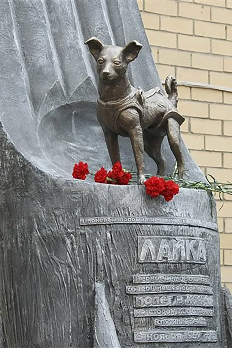  El monumento a Laika en Moscú, al que nunca le faltan flores 