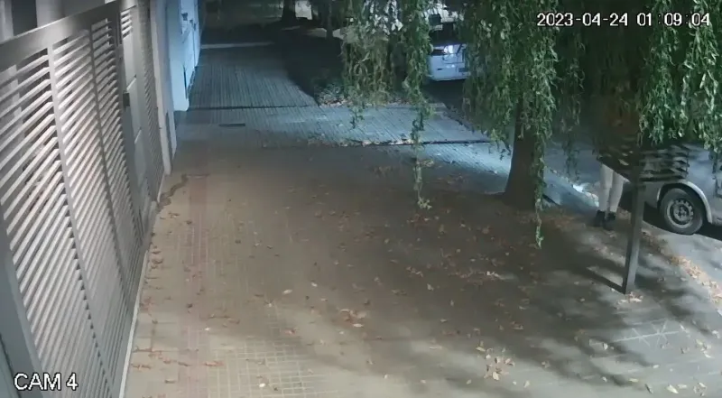 VIDEO: Una serpiente pitón irrumpió en la puerta de una casa y asustó a los vecinos de La Plata