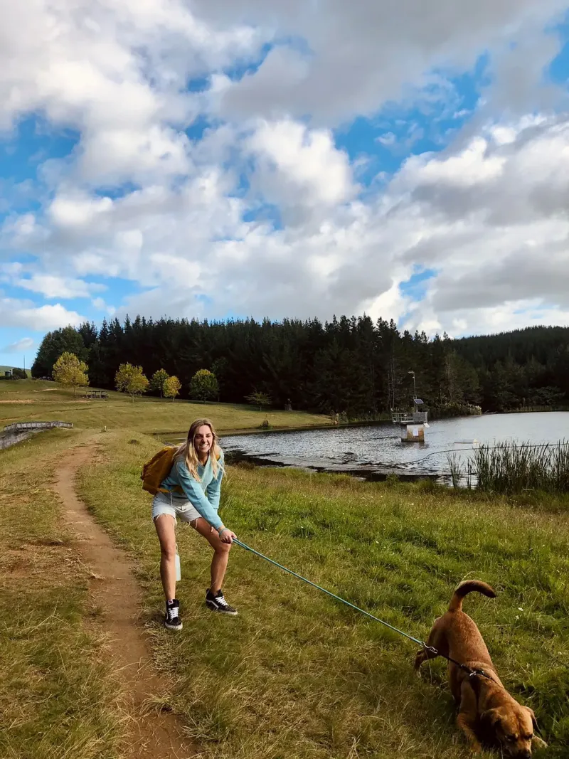 Entre otras actividades que deben hacer con el House Sitting, los jóvenes deben sacar a pasear a los perros.