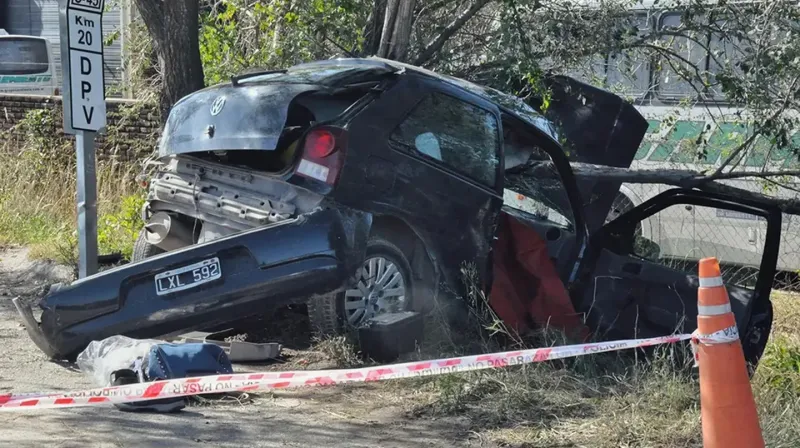 El auto despistó y chocó contra un árbol al costado de la ruta. 