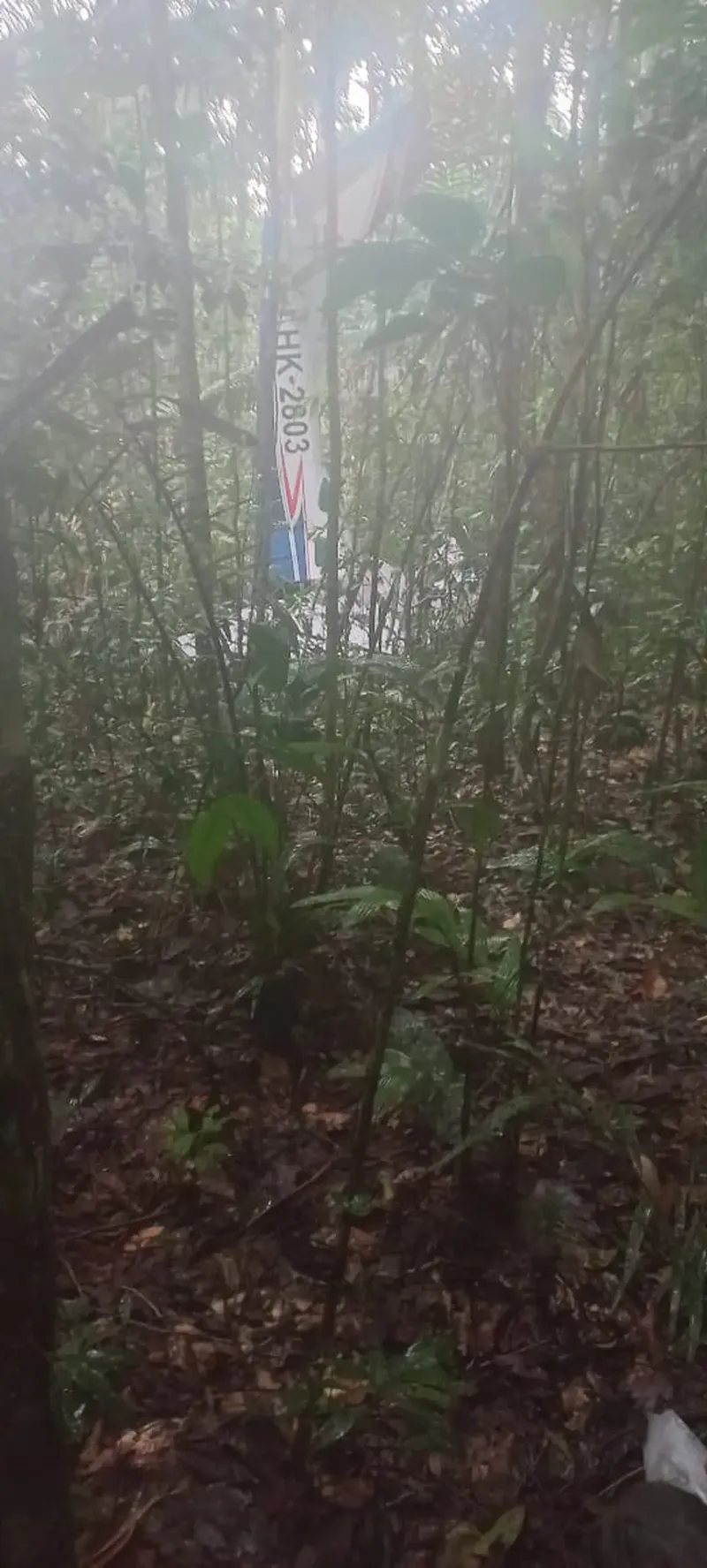 Encontraron el avión desaparecido desde el 1 de mayo en la selva colombiana