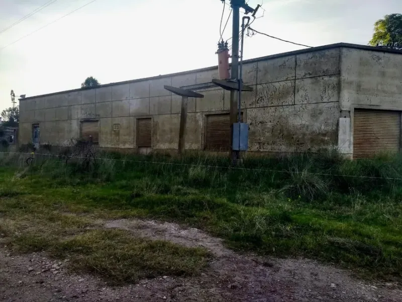 La maleza crece entre las construcciones abandonadas. Así luce Estela hoy