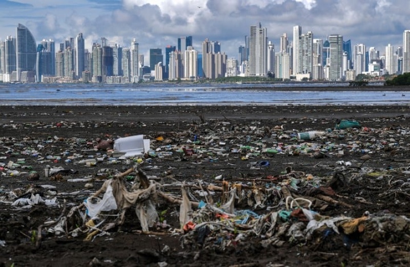 Anualmente se generan más de 350 millones de toneladas de deshechos plásticos en todo el mundo