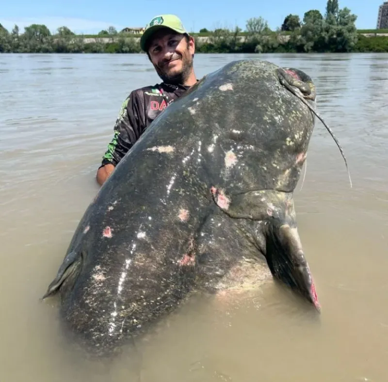  EL PESCADOR DECIDIÓ NO PESAR EL PEZ ANTES DE DEVOLVERLO AL RÍO PARA EVITAR QUE SUFRIERA MÁS ESTRÉS. FOTO: ALESSANDRO BIANCARDI