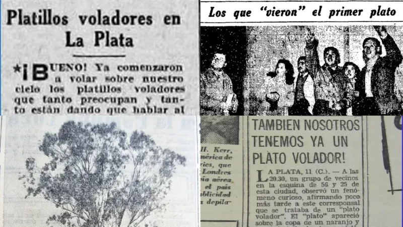  Un recorte de cuatro diarios de la época: la cobertura del diario El Día del 12 de julio, el árbol de la tapa de El Plata, la producción de El Día del 13 y el título del diario Clarín