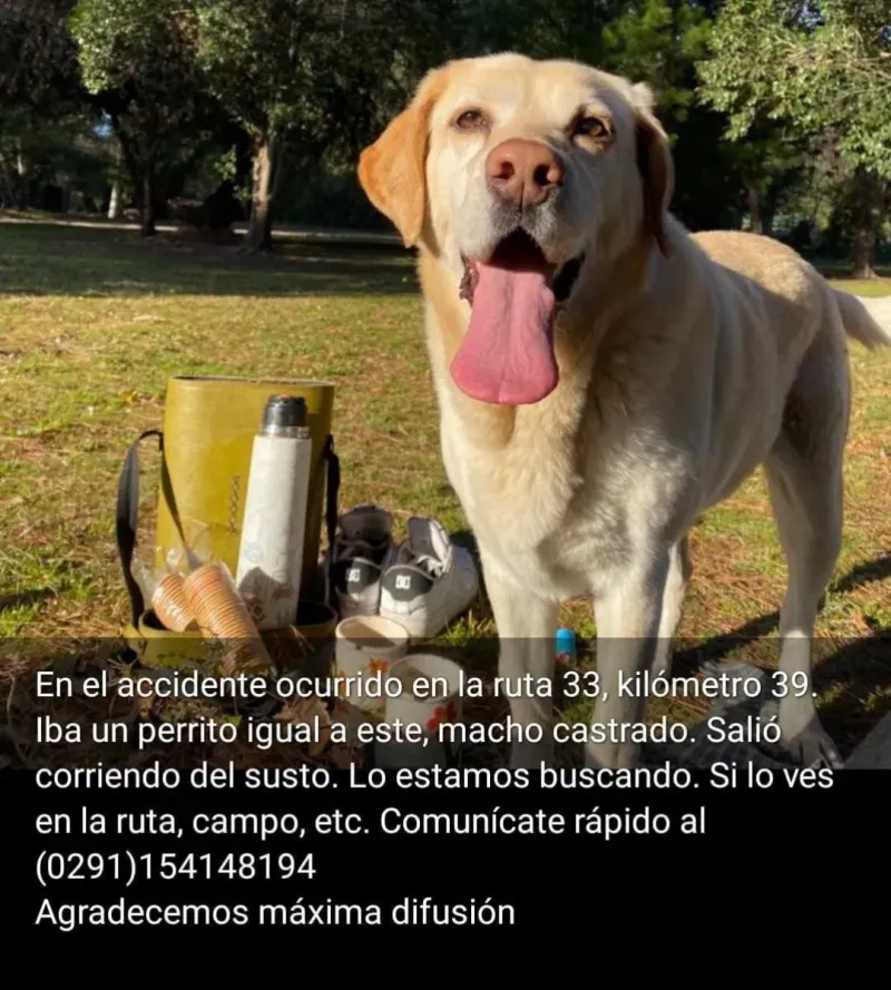 Una familia de Ventana busca a “Rafa”