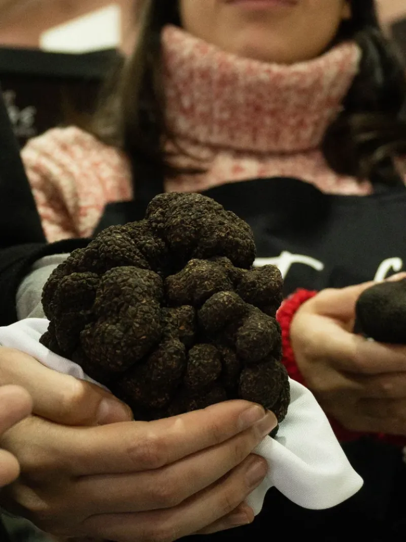 Aunque sean vistosas, las trufas negras más grandes no son las de mejor calidad ni las más pedidas