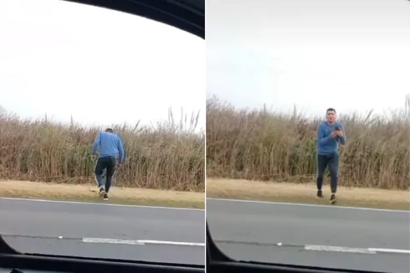 El momento donde encontró al cachorro en la ruta