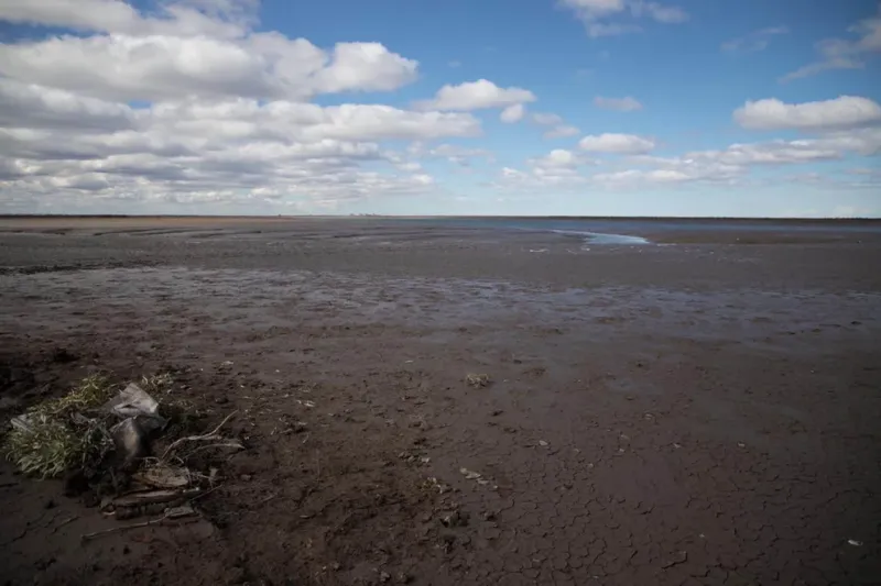  Una imagen del cangrejal donde un pescador halló el cuerpo esqueletizado de Facundo Astudillo el 15 de agosto de 2020. La versión que sostiene la policía es que caminaba por unas vías y se ahogó (Lihueel Althabe)