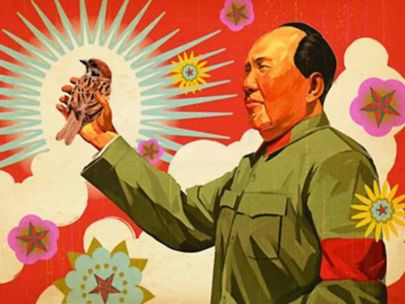 Dentro de la ”Campaña de las Cuatro Plagas”, Mao declaró a los gorriones como ”enemigos de la revolución”