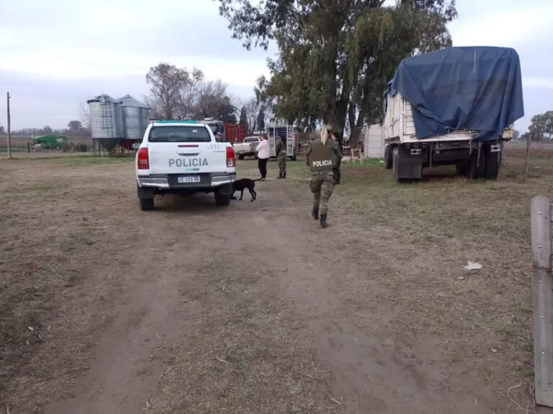 Marconi compartió cómo logró descubrir el paradero de algunas de las vacas robadas. Fue un vecino quien lo alertó acerca de la presencia del ganado en un campo colindante, lo que lo impulsó a seguir las huellas hasta llegar al campo que pertenecía al Aero