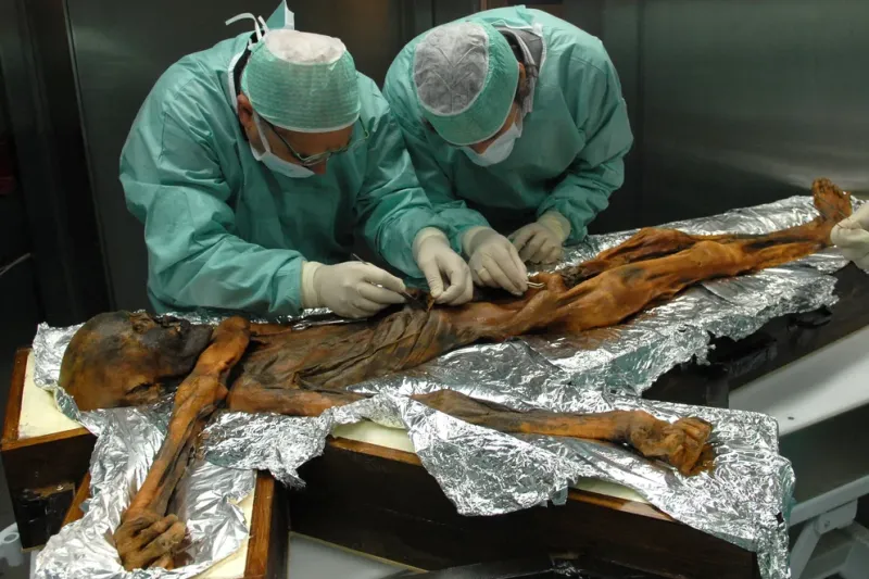 Otzi, el cadáver momificado por el frío durante 5.300 años, fue hallado en 1991 en un glaciar alpino (Foto: EuropaPress)