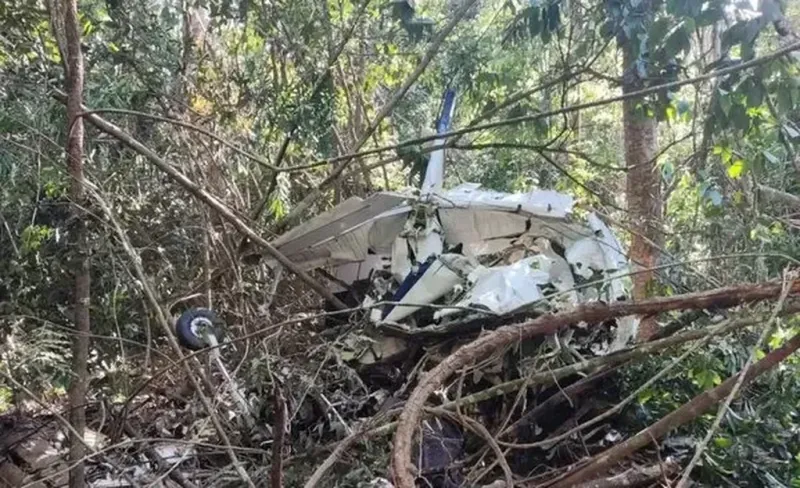  Los restos del avión fueron encontrados en la selva. (Web)