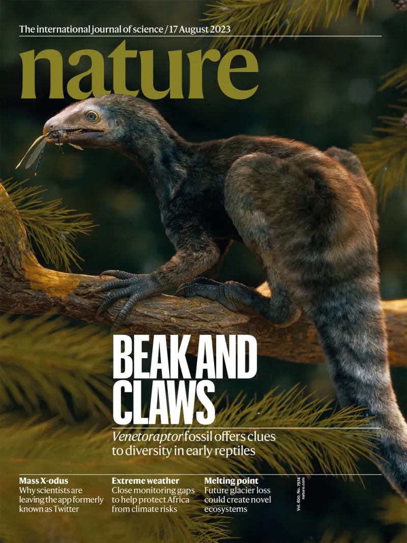  La tapa de Nature del 16 de agosto destaca el hallazgo de Venetoraptor. Es una de las más prestigiosas revistas científicas a nivel mundial. Fue fundada en 1869/Nature