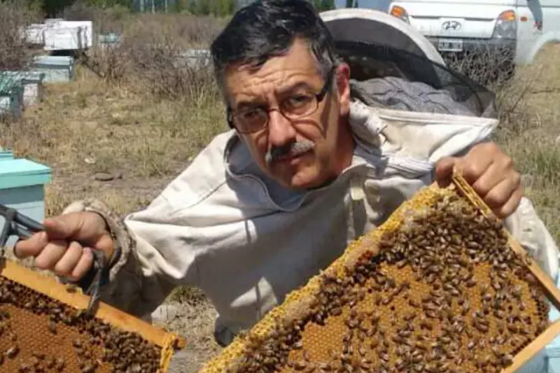 Daniel Avena es apicultor hace 25 años. Posee 1500 colmenas en Tunuyán, MendozaGza. Avena