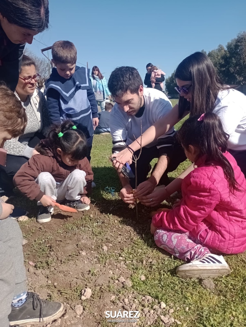 Ambiente- actividades en el marco del día del árbol