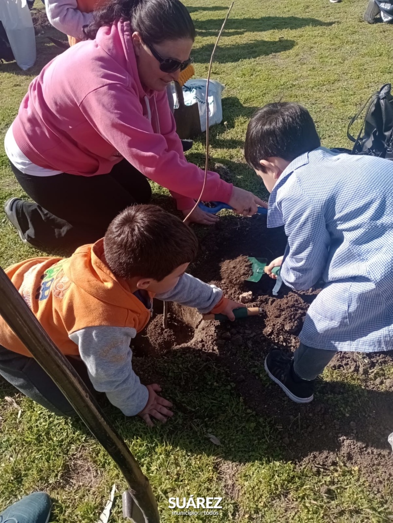 Ambiente- actividades en el marco del día del árbol