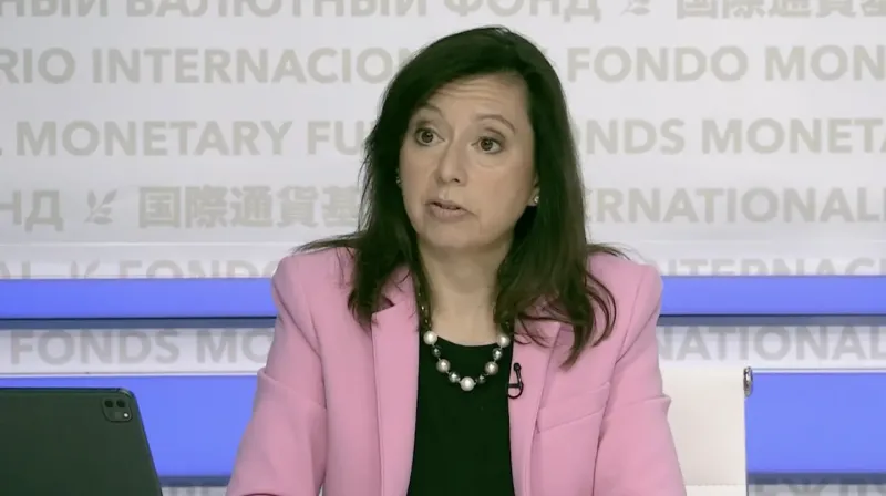 La vocera del FMI, Julie Kozack, habló sobre las medidas del Gobierno y las propuestas de la oposición. (Foto: captura de pantalla).