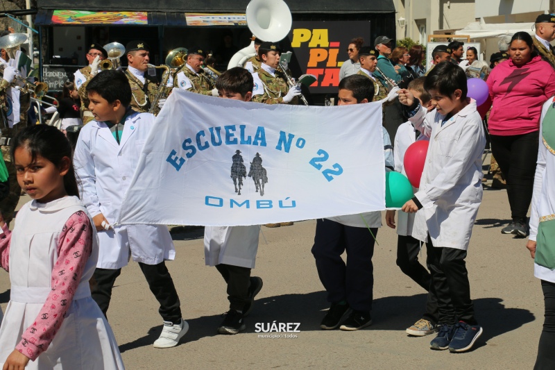 Más de 40 instituciones participaron del tradicional desfile por las calles de Huanguelén