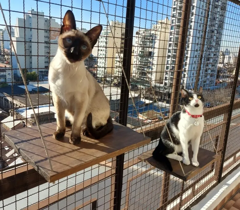 La pareja adaptó su departamento en el barrio porteño de Floresta (Foto: Instagram @mishi.cuidadores).