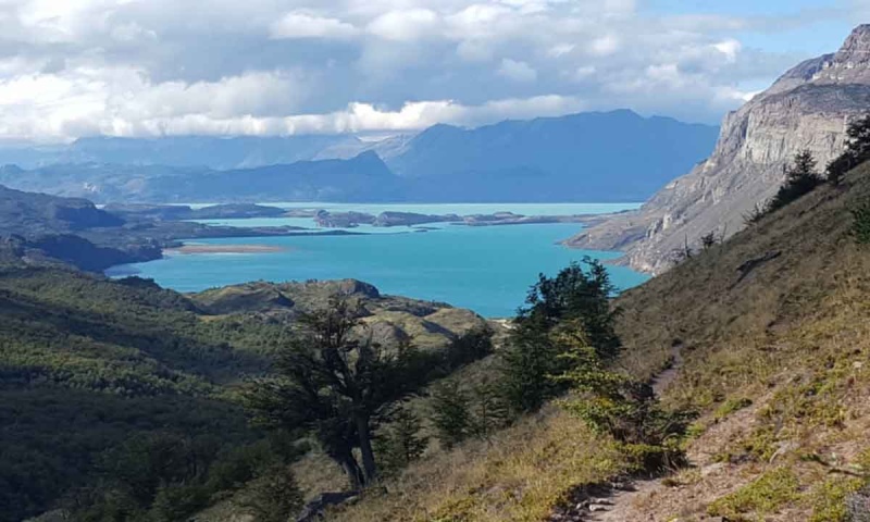 Denuncian a empresa chilena por comprar estancias en la Patagonia burlando leyes argentinas