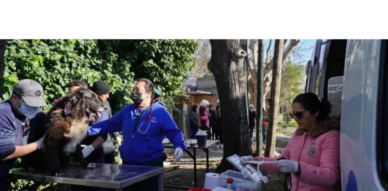   Agentes de zoonosis del municipio durante el rescate.