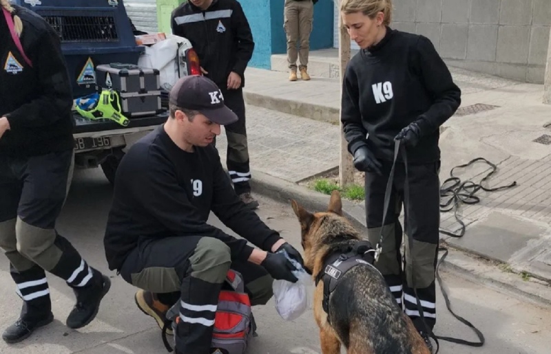 Con perros rastreadores buscan a un paciente psiquiátrico en Pringles