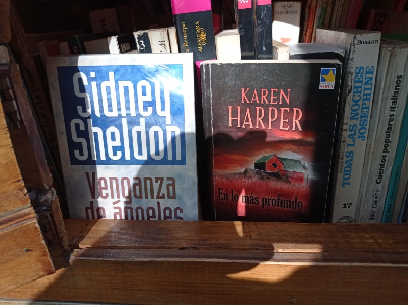 Nuevos libros en la casita lectora de Plaza Lainez